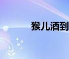 猴儿酒到底是什么酒（猴儿酒）