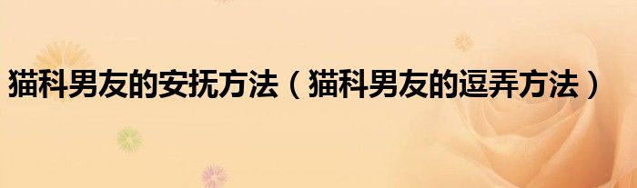猫科男友的安抚方法（猫科男友的逗弄方法）