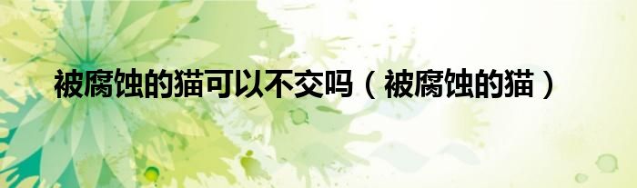 被腐蚀的猫可以不交吗（被腐蚀的猫）