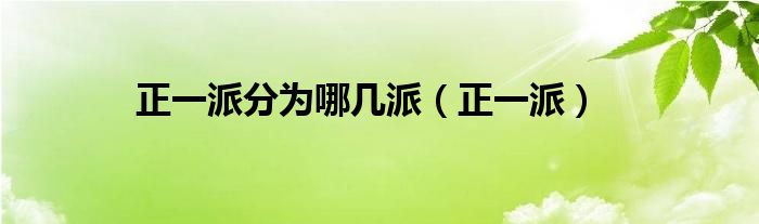 正一派分为哪几派（正一派）