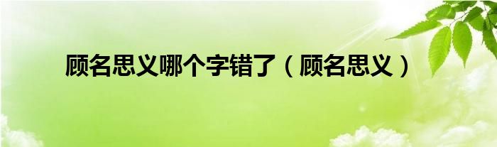 顾名思义哪个字错了（顾名思义）
