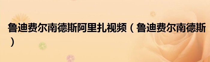 鲁迪费尔南德斯阿里扎视频（鲁迪费尔南德斯）