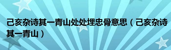 己亥杂诗其一青山处处埋忠骨意思（己亥杂诗其一青山）