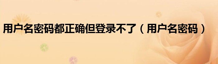 用户名密码都正确但登录不了（用户名密码）