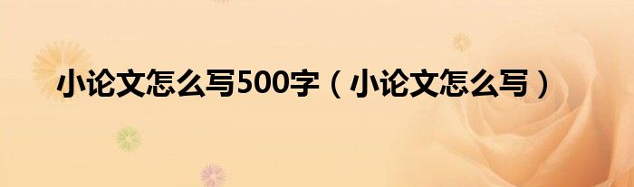 小论文怎么写500字（小论文怎么写）