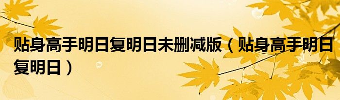 贴身高手明日复明日未删减版（贴身高手明日复明日）