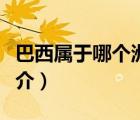 巴西属于哪个洲（说一说巴西属于哪个洲的简介）