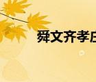 舜文齐孝庄秘史演的谁（舜文齐）