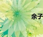 余子式定义（余子式）