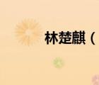 林楚麒（说一说林楚麒的简介）