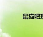 鼠猫吧现代完结文（鼠猫吧）