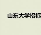 山东大学招标办电话（山东大学招标办）