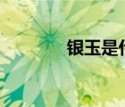 银玉是什么意思（()石流金）