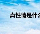 真性情是什么意思（性情是什么意思）