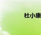 杜小康人物点评（杜小康）