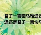 君子一言驷马难追还是一言既出驷马难追（君子一言驷马难追还是君子一言快马一鞭）