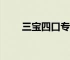 三宝四口专项施工方案（三宝四口）