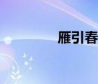 雁引春归小说（雁引春归）