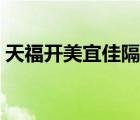 天福开美宜佳隔壁（天福便利店对比美宜佳）