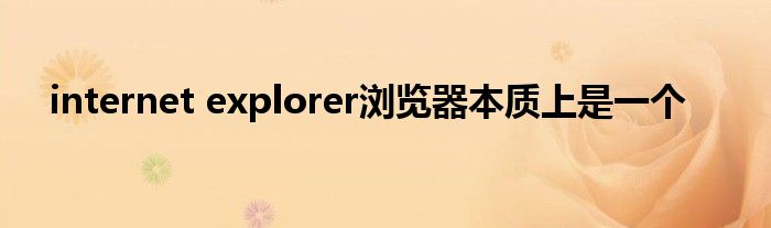 internet explorer浏览器本质上是一个