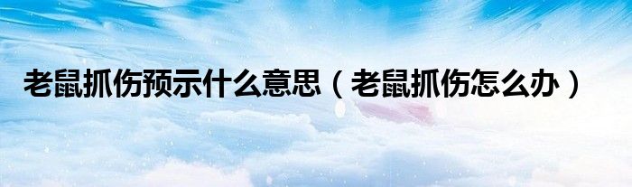 老鼠抓伤预示什么意思（老鼠抓伤怎么办）