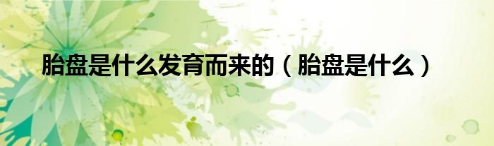 胎盘是什么发育而来的（胎盘是什么）