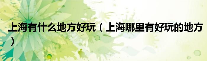 上海有什么地方好玩（上海哪里有好玩的地方）