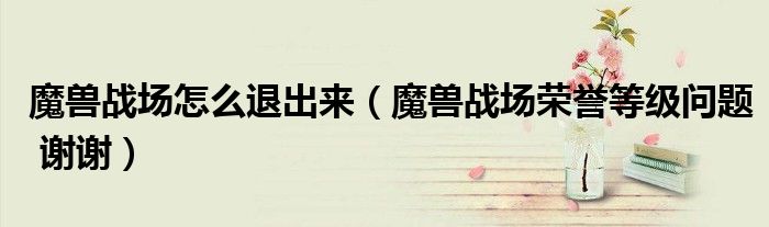 魔兽战场怎么退出来（魔兽战场荣誉等级问题 谢谢）