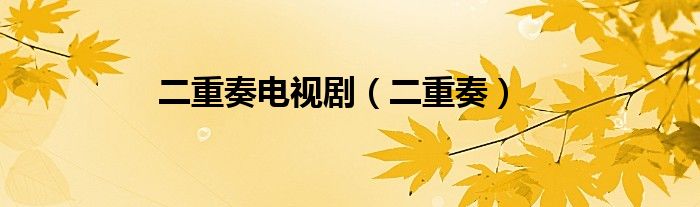 二重奏电视剧（二重奏）