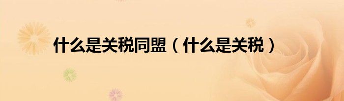 什么是关税同盟（什么是关税）