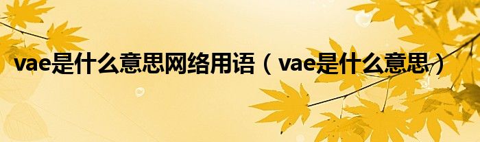 vae是什么意思网络用语（vae是什么意思）