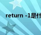 return -1是什么意思（return是哪个键）