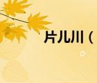 片儿川（说一说片儿川的简介）