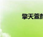 擎天萱颜by三石（擎天萱颜）
