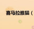 喜马拉雅猫（说一说喜马拉雅猫的简介）
