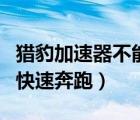 猎豹加速器不能用了（为什么猎豹不能长时间快速奔跑）