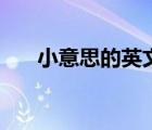 小意思的英文怎么读（小意思的英文）