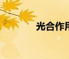 光合作用的过程（光合作用）
