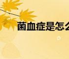 菌血症是怎么引起的（菌血症的症状）