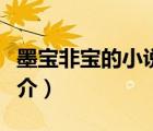 墨宝非宝的小说（说一说墨宝非宝的小说的简介）