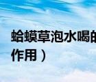 蛤蟆草泡水喝的功效与作用（蛤蟆草的功效与作用）