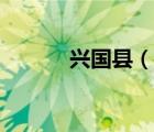 兴国县（说一说兴国县的简介）