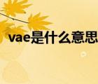 vae是什么意思网络用语（vae是什么意思）