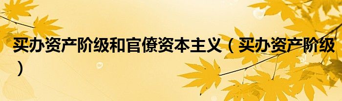 买办资产阶级和官僚资本主义（买办资产阶级）