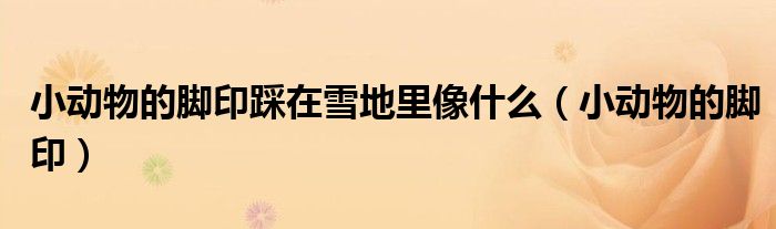 小动物的脚印踩在雪地里像什么（小动物的脚印）