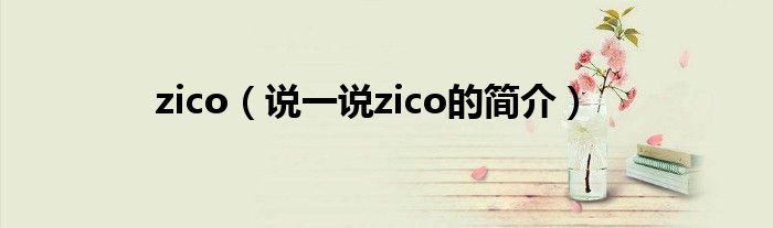 zico（说一说zico的简介）