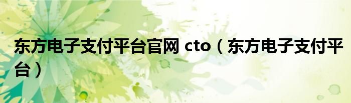 东方电子支付平台官网 cto（东方电子支付平台）