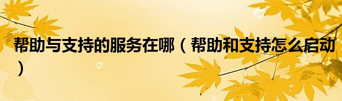 帮助与支持的服务在哪（帮助和支持怎么启动）