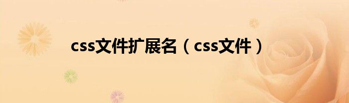 css文件扩展名（css文件）