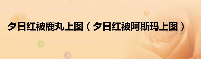 夕日红被鹿丸上图（夕日红被阿斯玛上图）